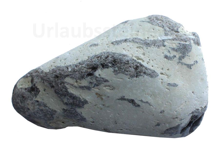 Geschliffener Kalkstein. Fundort: Strandfund Nordsee, Norddänemark.