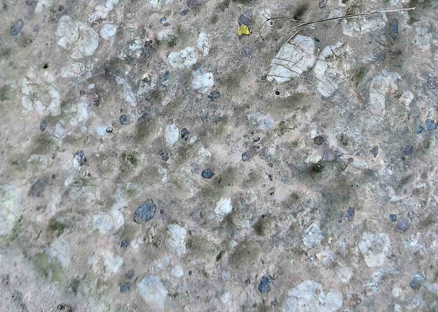 Nahaufnahme des selben Steins. Die dunklen Einschüsse sind Blauquarze.
