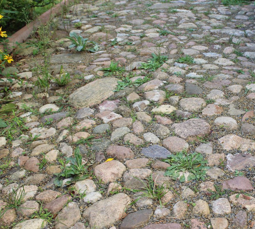 Der Nachteil ist der Unkrautwuchs zwischen den Steinen trotz des Splitts. Diesen Wuchs kann man verhindern,wenn die Fugen der Steine durch Mörtel oder Beton verfestigt werden. Allerdings sickert dann weniger Regenwasser durch.