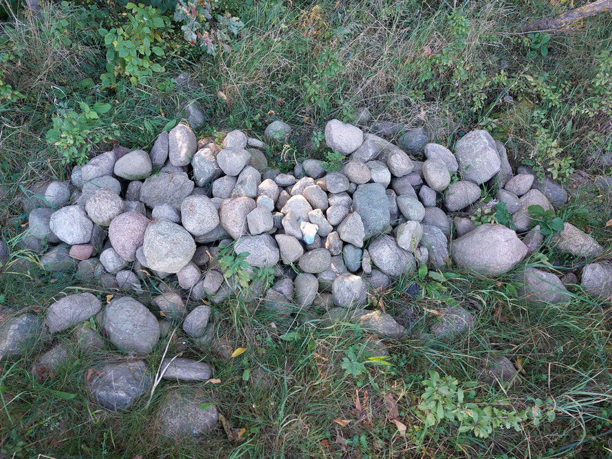 Wieder werden frische Steinhaufen gefunden, die aus den Äckern herausgezogen wurden und an den Waldrand zu Haufen aufgeschütet werden.