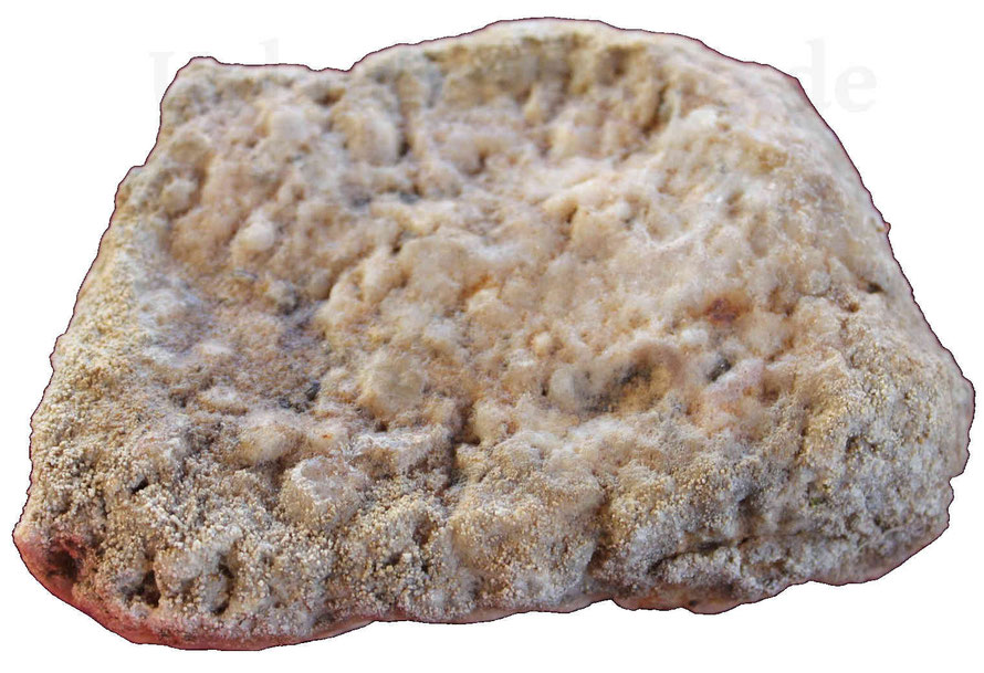 Nahaufnahme eines Sandsteins. Am unteren Rand haften Sandpartikel am Stein, die mit dem Fingernagel schwer entfernt werden können.