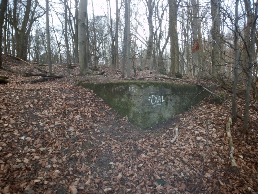 Fundamentale Überreste des Gasthauses am Liepnitzsee, das 1947 völlig abbrannte