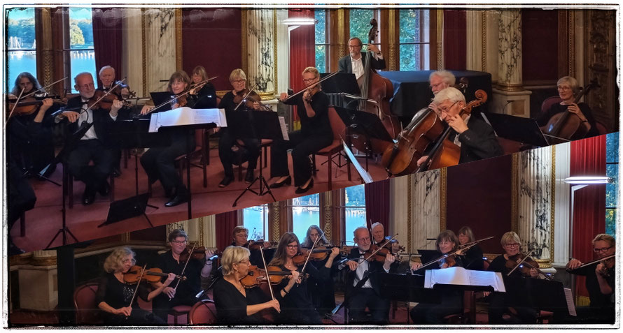 Collegium musicum Schwerin