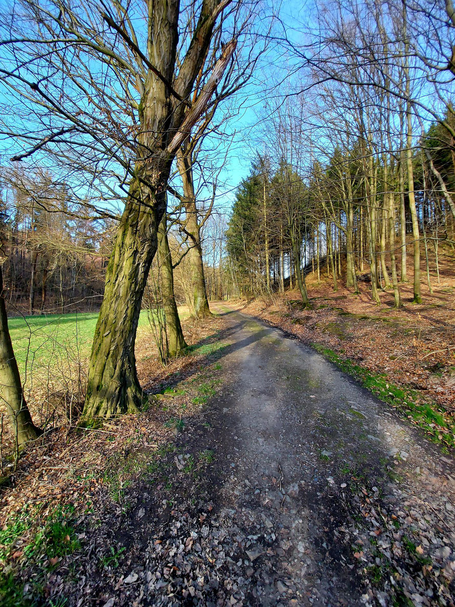 Der führt aus dem Geßliche nach Oelsa hinunter.