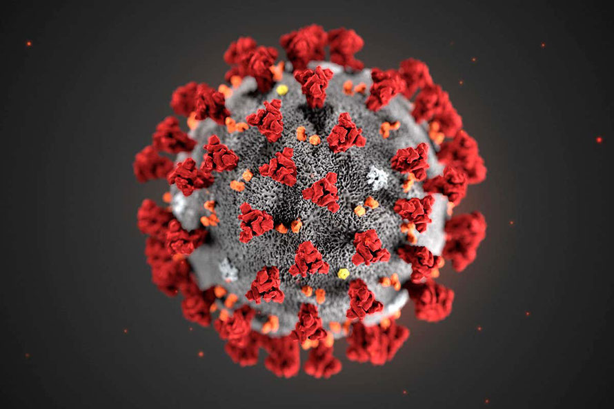 www.newscientist.com / Illustration of the ultrastructure of the Covid-19 virus  