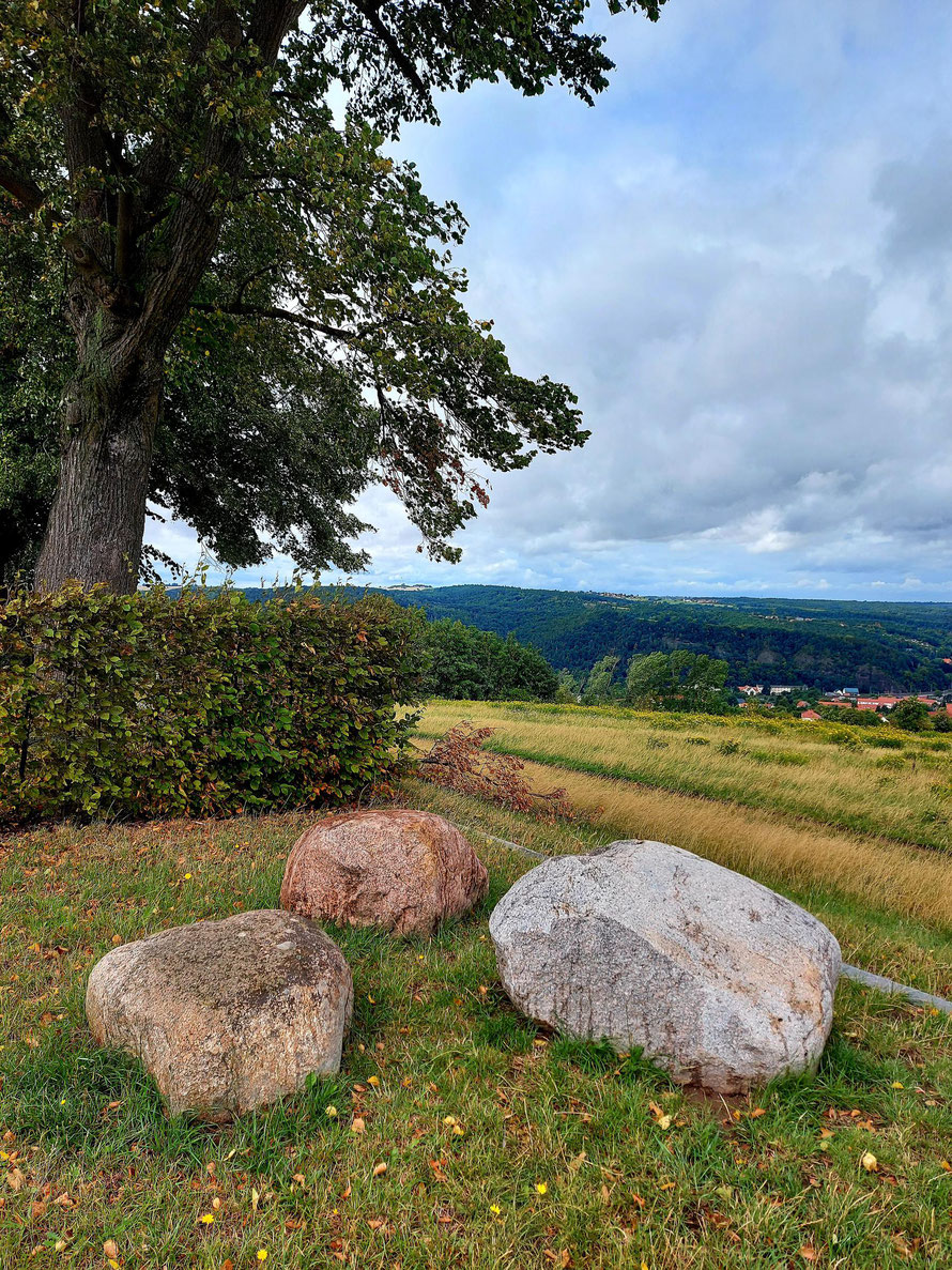 Auf dem Galgenberg in Rabenau, Blick nach Freital