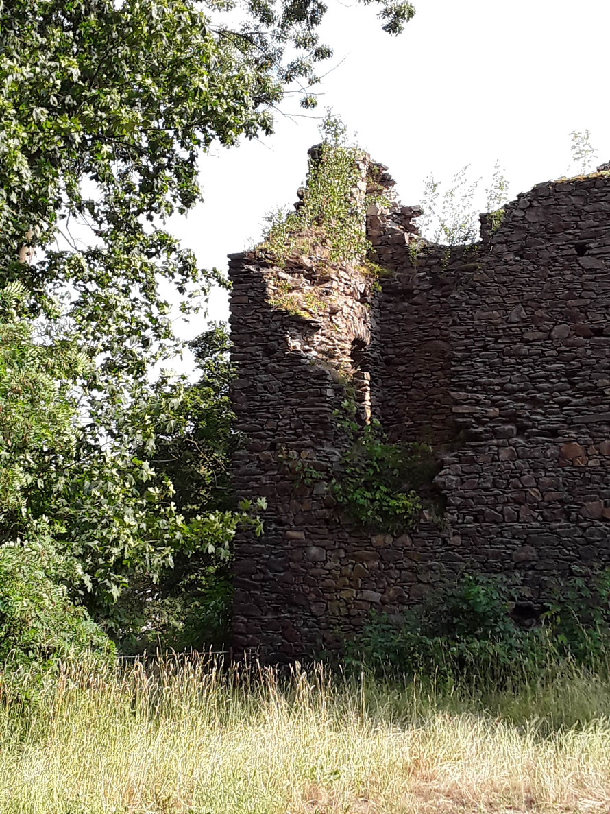 Burg Kempe, Sommer 2019