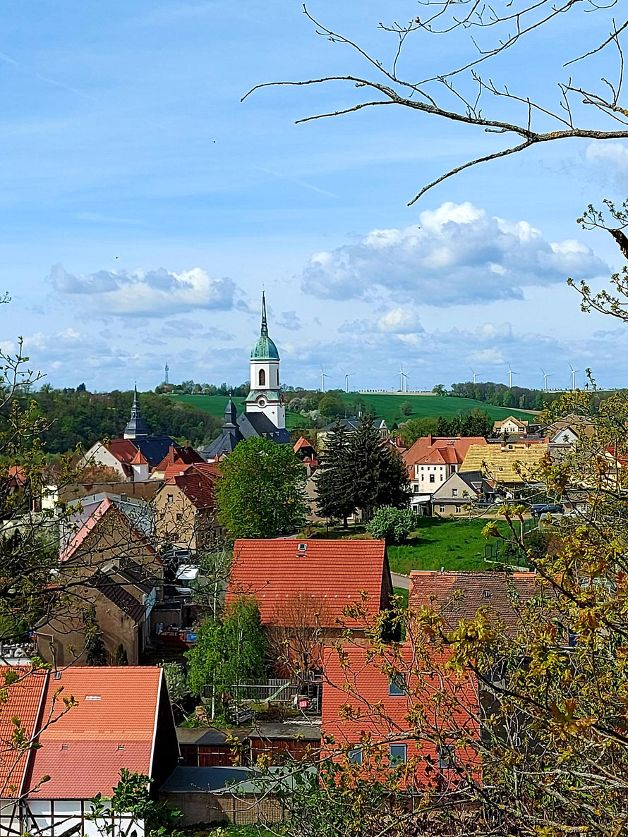 Blick von der Wunderburg über die Stadt Roßwein, 13. 04. 2024