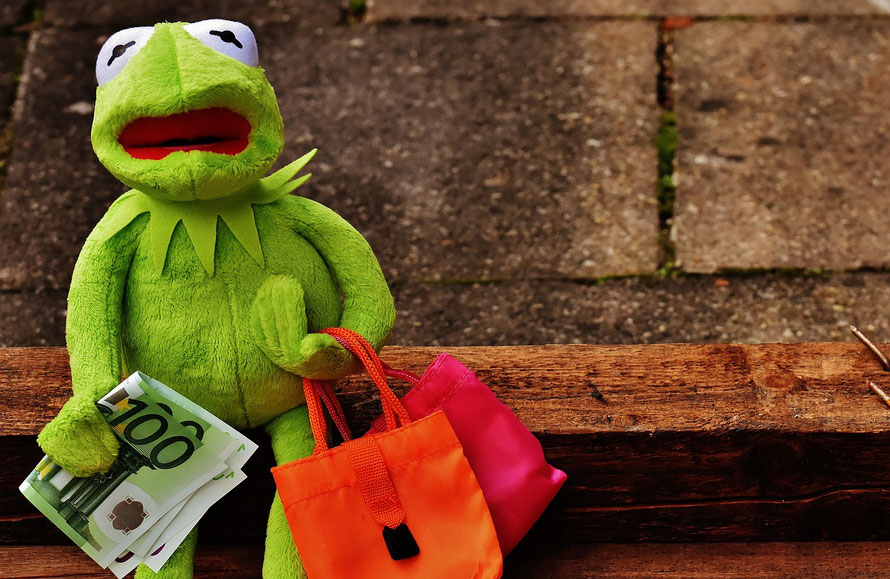 Kermet im Shopping-Stress / www.pixabay.com / Alexax_Fotos