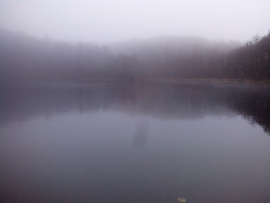 Der Schwarze See im Dezembernebel. Bald ist Silveser. Ich sehe schon einen Schatten da in der Mitte auf dem Wasser.....