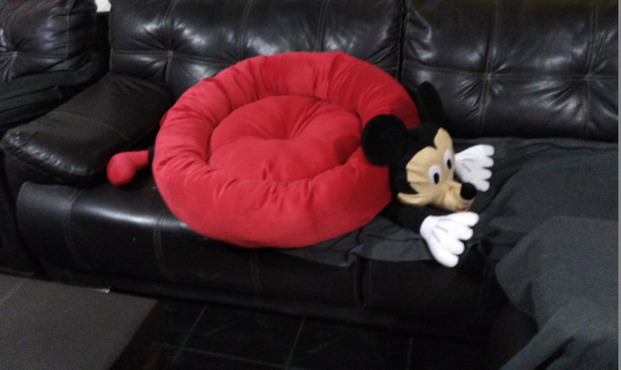 CAMA FANTASIA  MIKE  , CONFECCIONADA EN TELA VELBOA , RELLENA DE DELCRON SILICONIZADO DE 65 CM. DE DIAMETRO SIN CONTAR LAS PATAS NI LA CABEZA (talla unica)