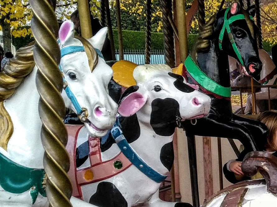 Le manege de Maisons-Laffitte