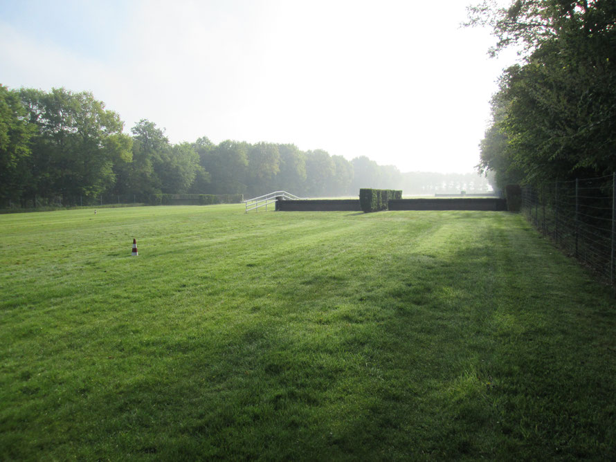 Centre d'entrainement pour chevaux de course à Maisons-Laffitte