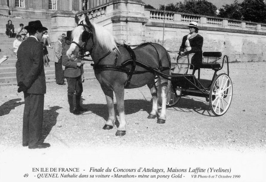 Maisons-Laffitte concours d'attelages