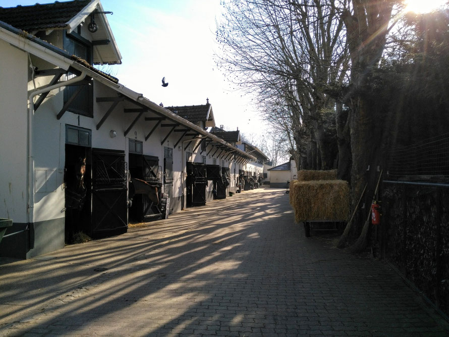 maisons-laffitte ecurie avenue egle