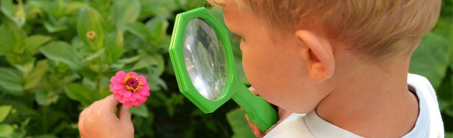 kaleakids.ch, Spielgruppe