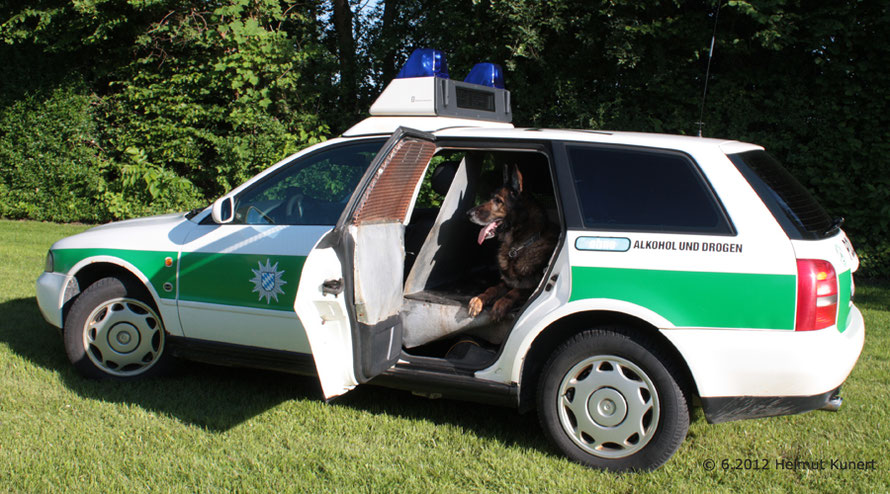 Hier ist der Hund zu Hause!