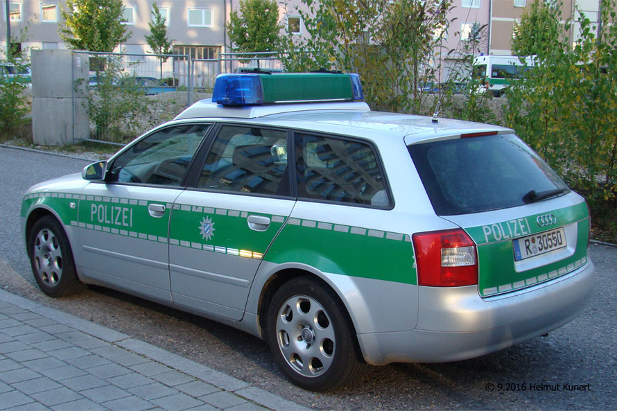 der Diensthund schaut interessiert aus der Heckscheibe