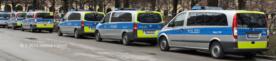 Im Hofgarten blüht das hessiche Gelb.