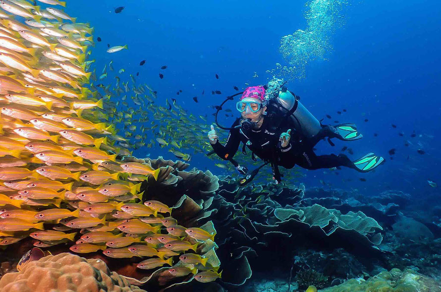 School of Yellow Color Fish and Beautiful Cabbage-Corals. Happy Scuba Diver underwater in South Miniloc, El Nido, Palawan