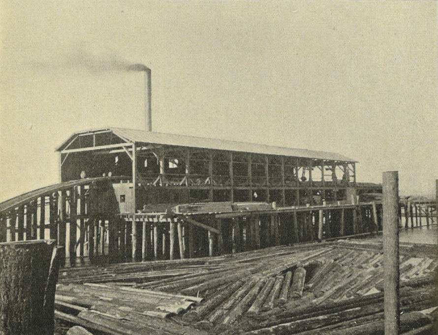 Image from: https://commons.wikimedia.org/wiki/File:Seattle_-_Kerry_Lumber_Mill_-_1900.jpg