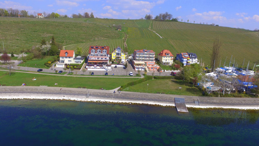 Bild: Seegarten in Meersburg, Ferienwohnungen direkt am Bodensee mit Seesicht