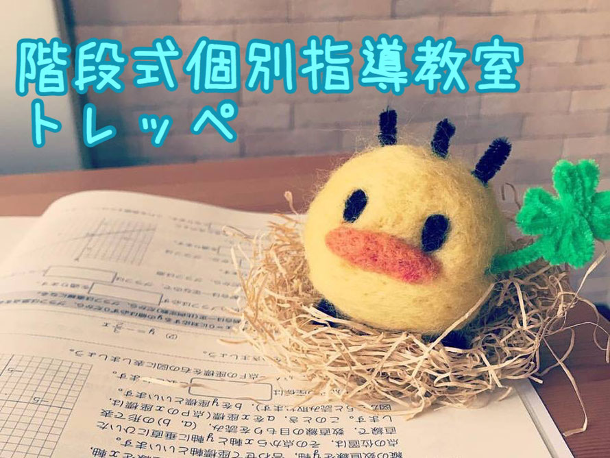 脱・デジタル依存！完全対面授業の個別指導塾！タブレット学習や映像授業には頼りません。生徒さんの目の前で丁寧教えるから、個々にぴったり合った学習ができると評判です。