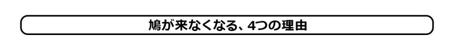 鳩が来なくなる、4つの理由