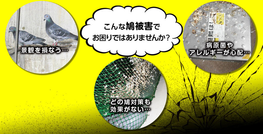 鳩害対策 あんじんグループ東京 ユーシン鳩飛来防止工事 Hatoyoke 鳩よけジェル 鳩対策 あんじん ｂ ｓｔ鳩防止剤 株式会社ユーシン