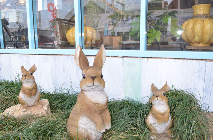 一宮市稲沢市犬山市岩倉市大口町尾張旭市春日井市北名古屋市清須市小牧市江南市瀬戸市豊山町各務原市