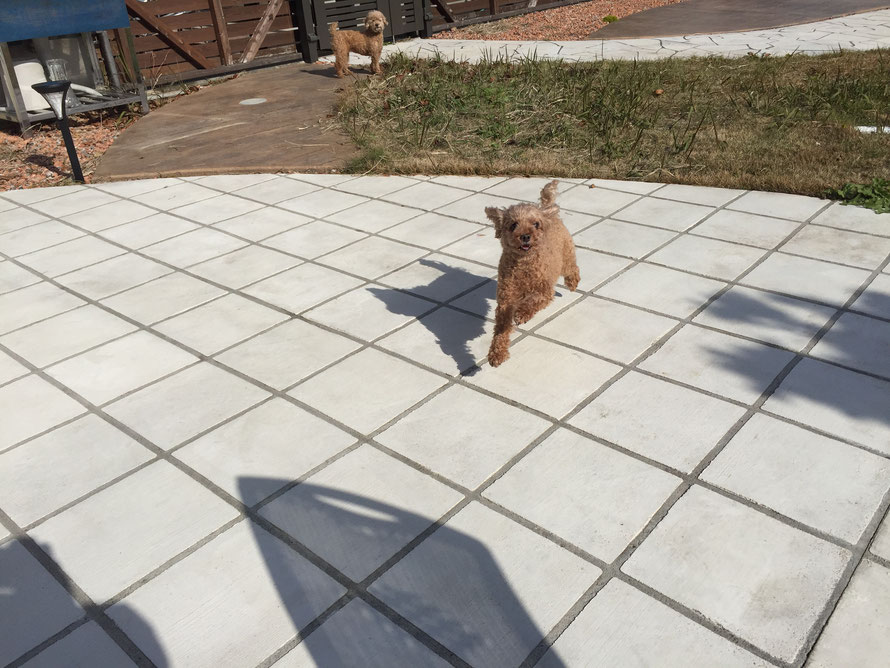 スタンプコンクリート　デザインコンクリート　庭　犬　放し飼い　ドッグガーデン　遊び　走り回る　DIY