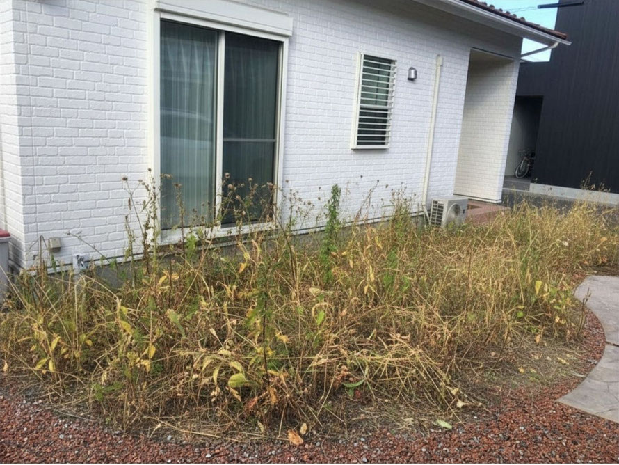 雑草　草　人工芝　対策　草刈　草取り　除草　シート　草抜き　防草　処理　草むしり　砂利　スタンプ　デザイン　コンクリート