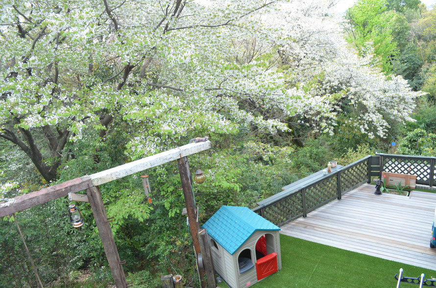 ウッドデッキ　樹脂デッキ　タイルデッキ　テラス　スタンプコンクリート　デザインコンクリート　樹ら楽　ココマ　ジーマ　暖蘭