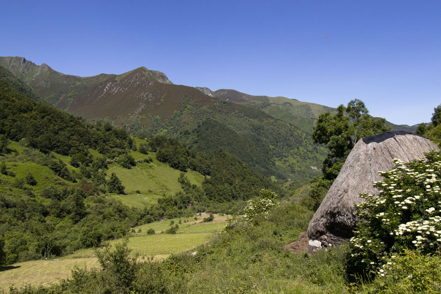 Valle del Río Pigüeña desde la Braña de la Pornacal