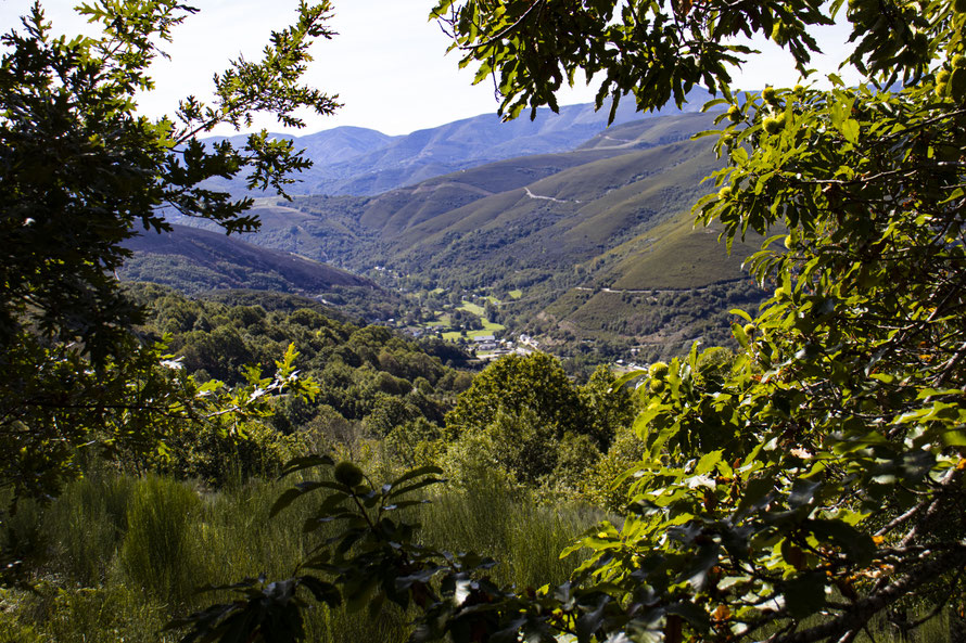 Valle de Balboa desde los castañares de Villariños