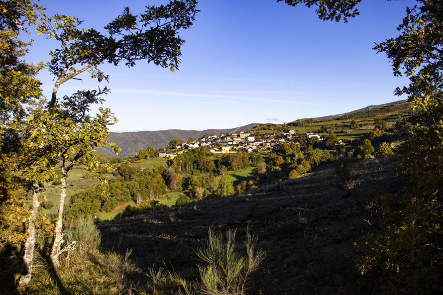 Canteixeira o Cantejeira, El Bierzo
