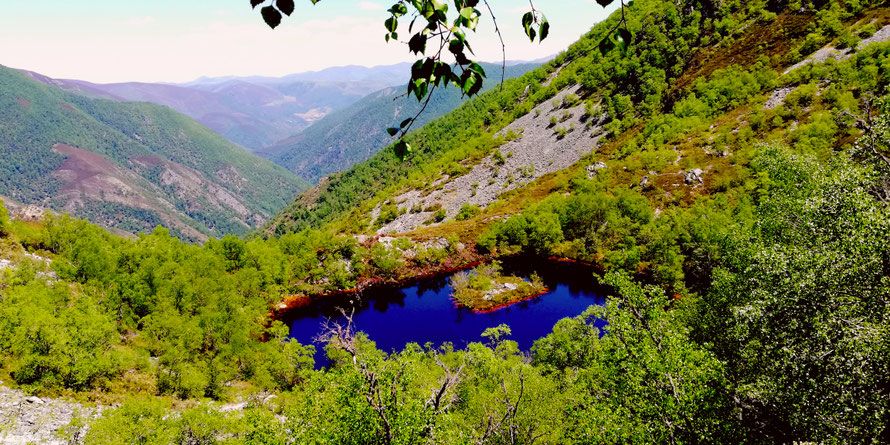 Laguna de la Isla, en la Reserva Natural Integral de Muniellos