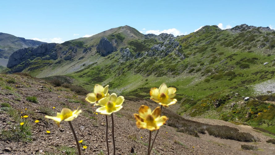 Fuentes del Sil, cerca de Peña Orniz (Babia) 