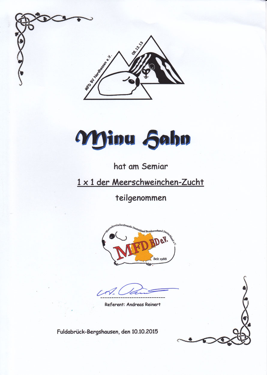 1 x 1 der Meerschweinchen-Zucht