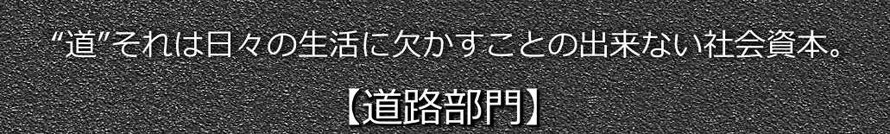 道路部門
