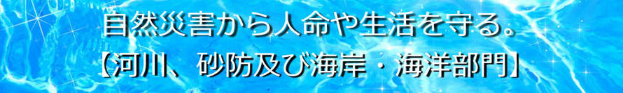 河川、砂防及び海岸・海洋部門