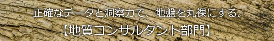 地質コンサルタント部門