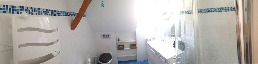 LTDC Rénovation salle de bain douche carrelage wc