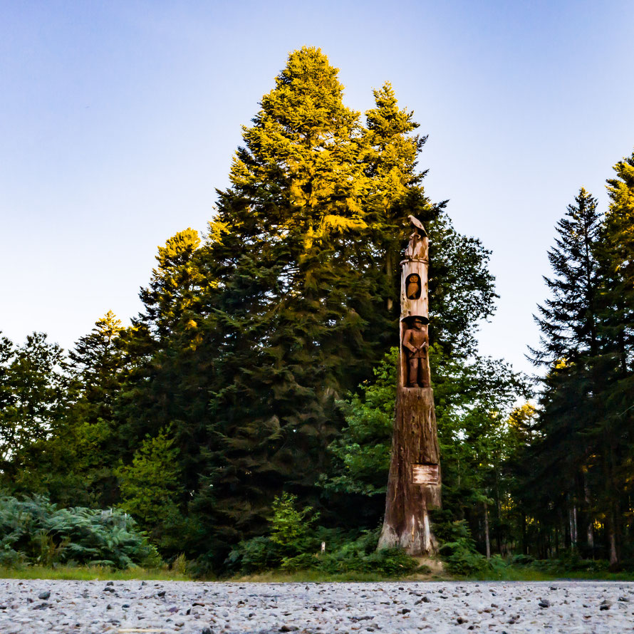Le séquoia, tombé en 1999, sculpté en 2002 à la tronçonneuse.