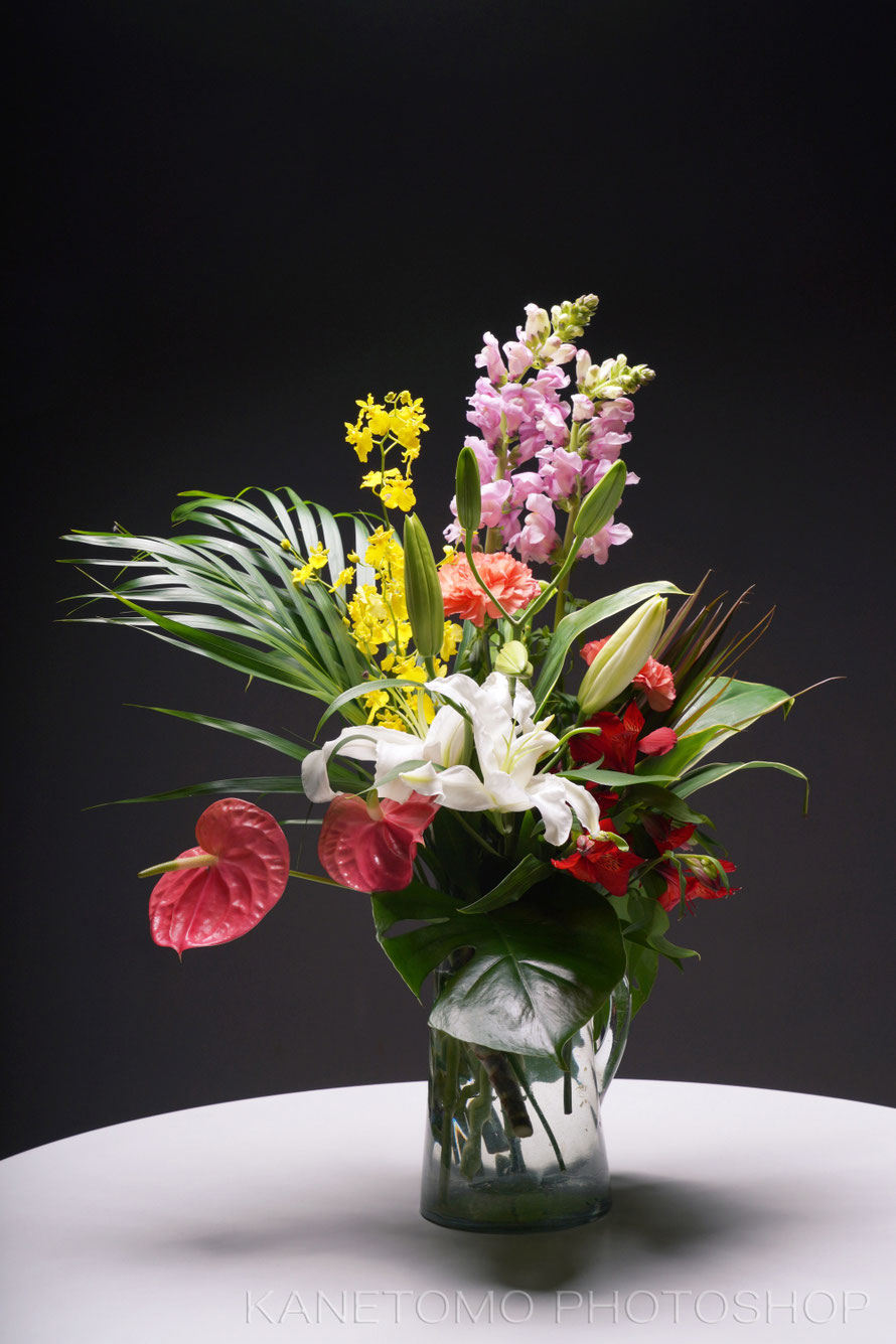 ライティングレッスン2 花瓶の花を撮る 金友写真店 ライティングレッスン2 花瓶の花を撮る 金友写真店