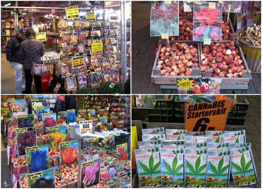 Der weltberühmte Blumenmarkt - ein Paradies für alle Gartenfreunde