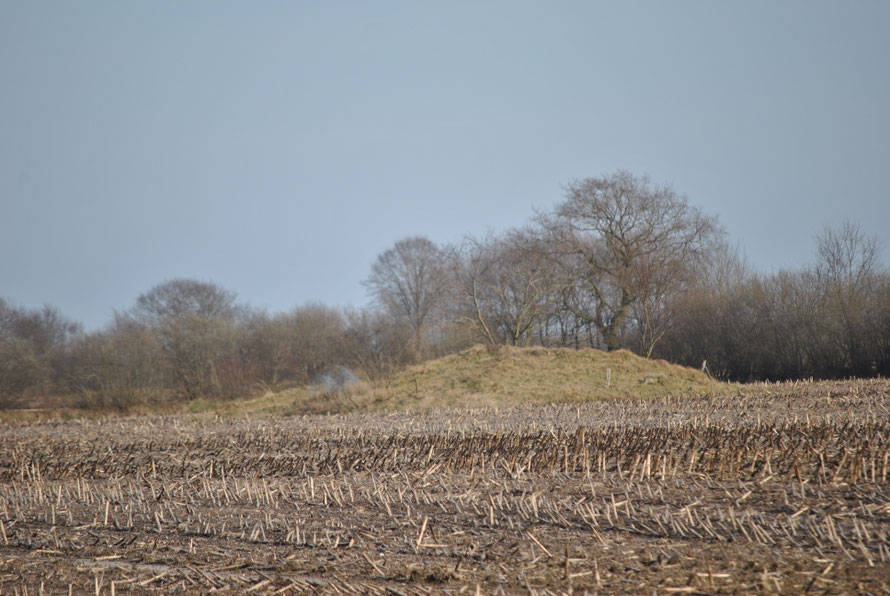 Hünengrab am Wuhrenweg