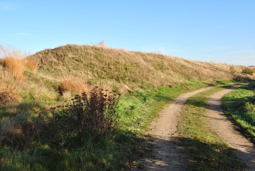 Straße am Hauptwall auf Ellingstedter Gebiet