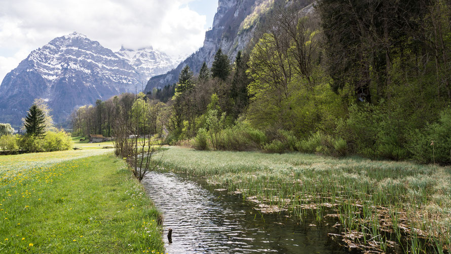 Mettlensee, Gesamtansicht gegen Süden, Koordinaten 722553 213436