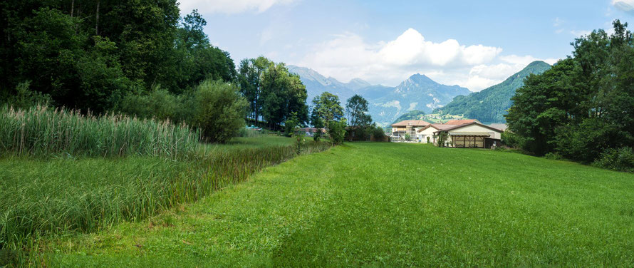 Mettlensee Gesamtansicht gegen Norden